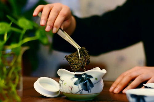 國津茯茶加盟優勢 專業倉儲服務助力共贏發展